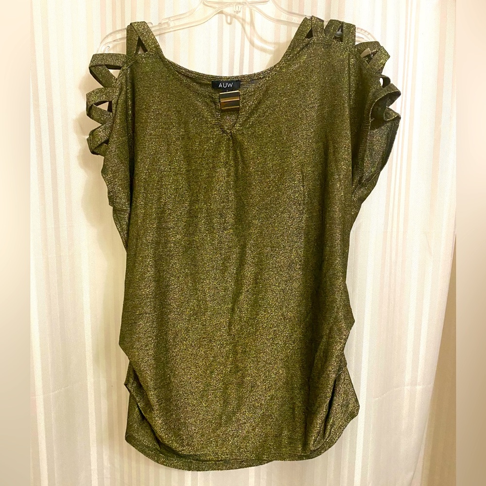 NWOT- AUW brand top women size L